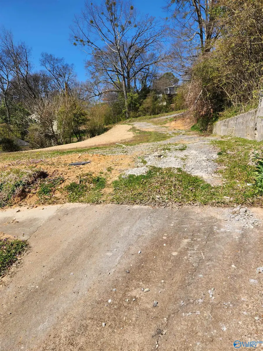 1318 Rayburn Avenue, Guntersville, AL 35976 - Image #3