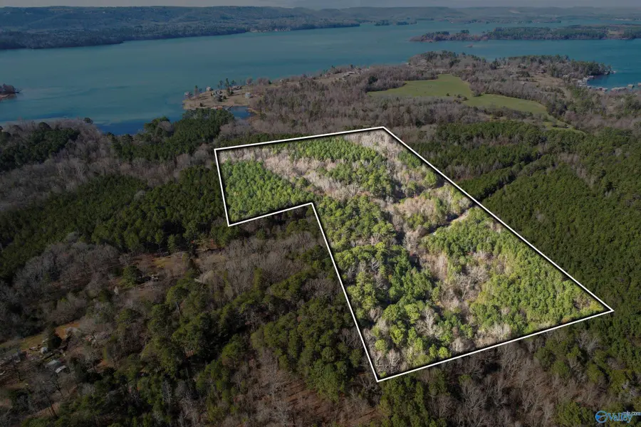 20 Acres Murphy Hill Road, Langston, AL 35755 - Image #2