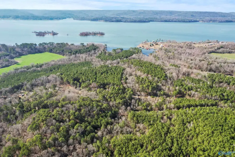 20 Acres Murphy Hill Road, Langston, AL 35755 - Image #3