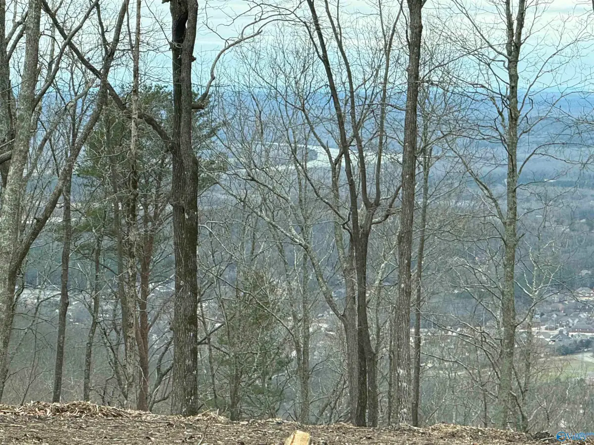 14040 Monte Vedra Road Se, Huntsville, AL 35803 - Image #1