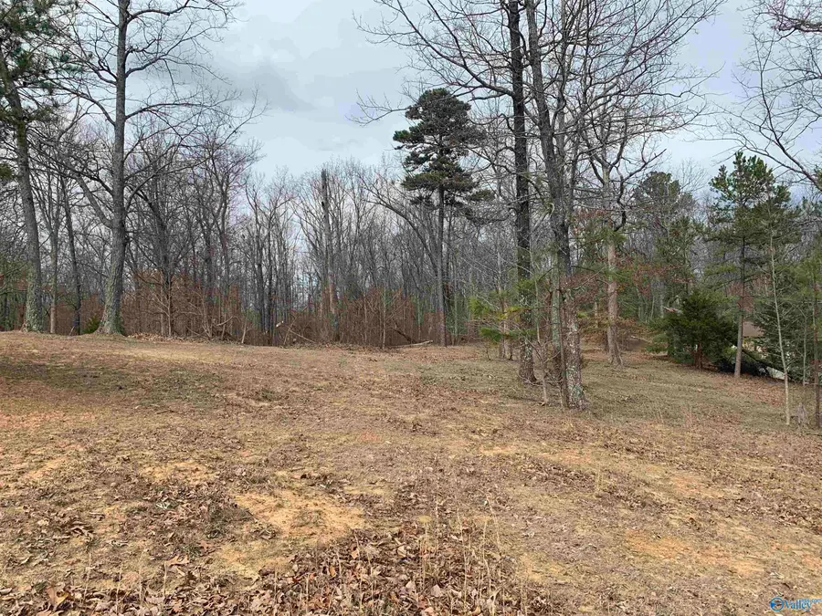 129 Ridgecreek Drive, Gurley, AL 35748 - Image #2