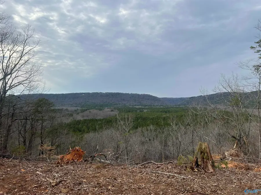 1450 County Road 137, Cedar Bluff, AL 35959 - Image #2