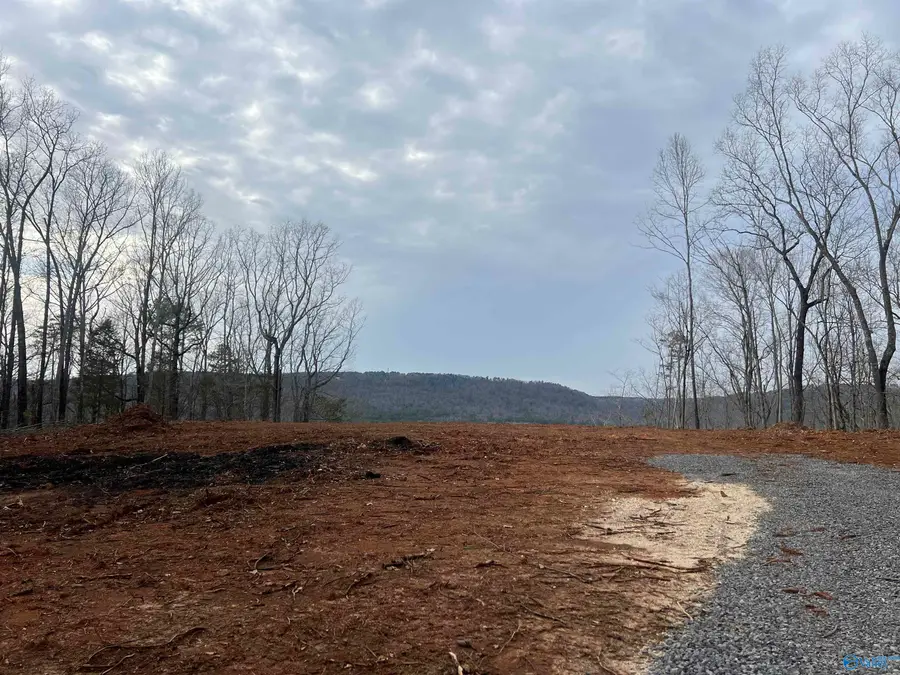 1450 County Road 137, Cedar Bluff, AL 35959 - Image #3