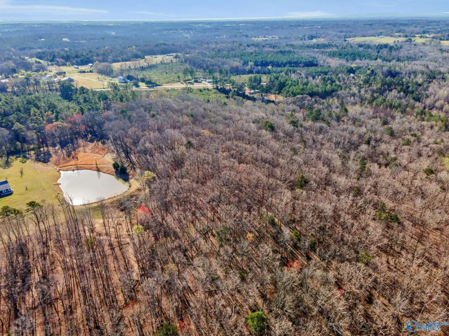 20 ACRES Hwy 101, Town Creek, AL 35672 - Image #2