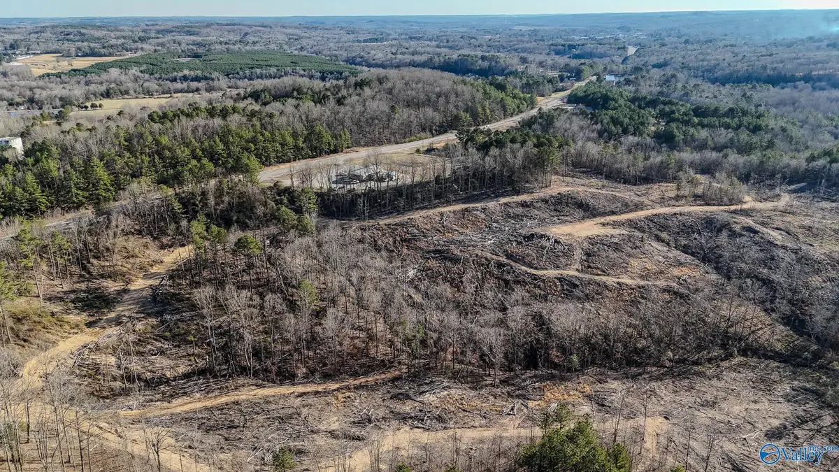 32 Acres Hwy 43, Hamilton, AL 35570 - Image #1