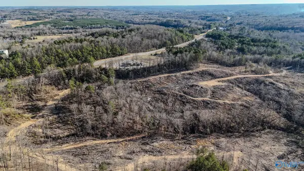 32 Acres Hwy 43, Hamilton, AL 35570