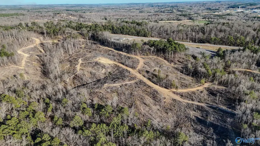 32 Acres Hwy 43, Hamilton, AL 35570 - Image #2