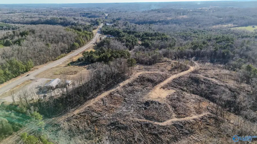 32 Acres Hwy 43, Hamilton, AL 35570 - Image #3