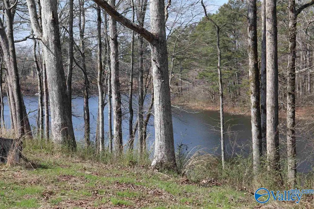9 AC County Road 1464, Cullman, AL 35058 - Image #1