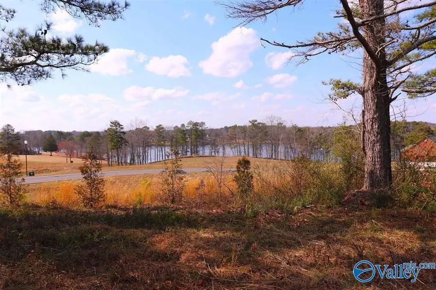 9 AC County Road 1464, Cullman, AL 35058 - Image #2