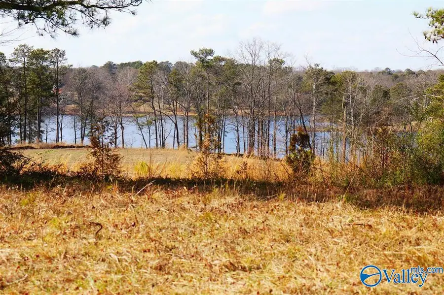 9 AC County Road 1464, Cullman, AL 35058 - Image #3