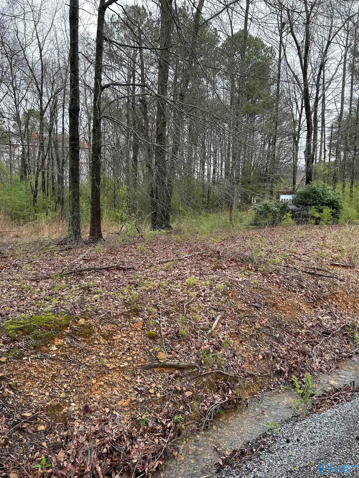 Lot 10, 0.95 ac Dry Creek Road, Cleveland, AL 35049 - Image #1
