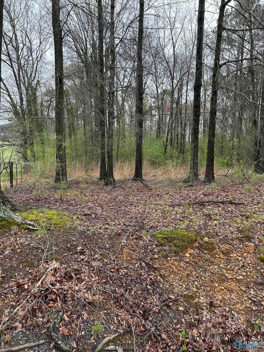 Lot 10, 0.95 ac Dry Creek Road, Cleveland, AL 35049 - Image #2