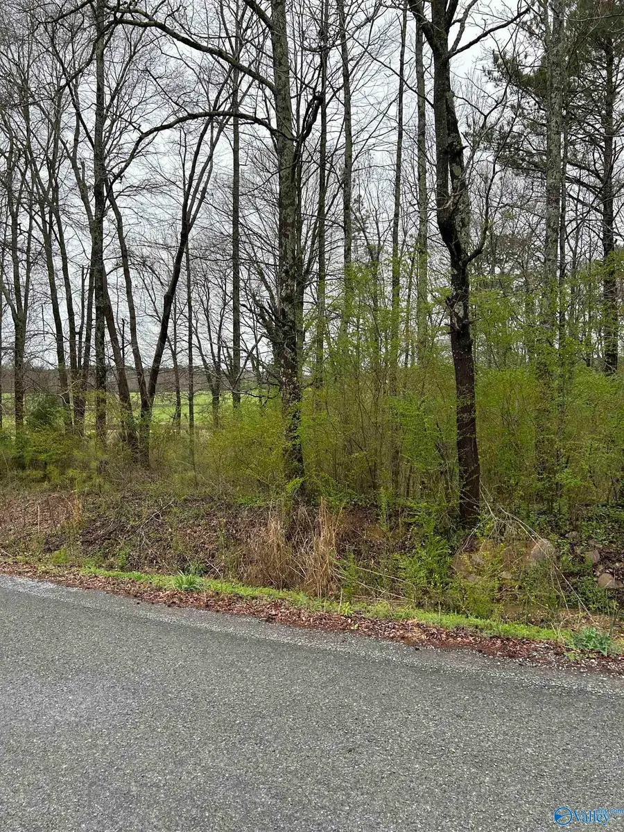 Lot 10, 0.95 ac Dry Creek Road, Cleveland, AL 35049 - Image #3