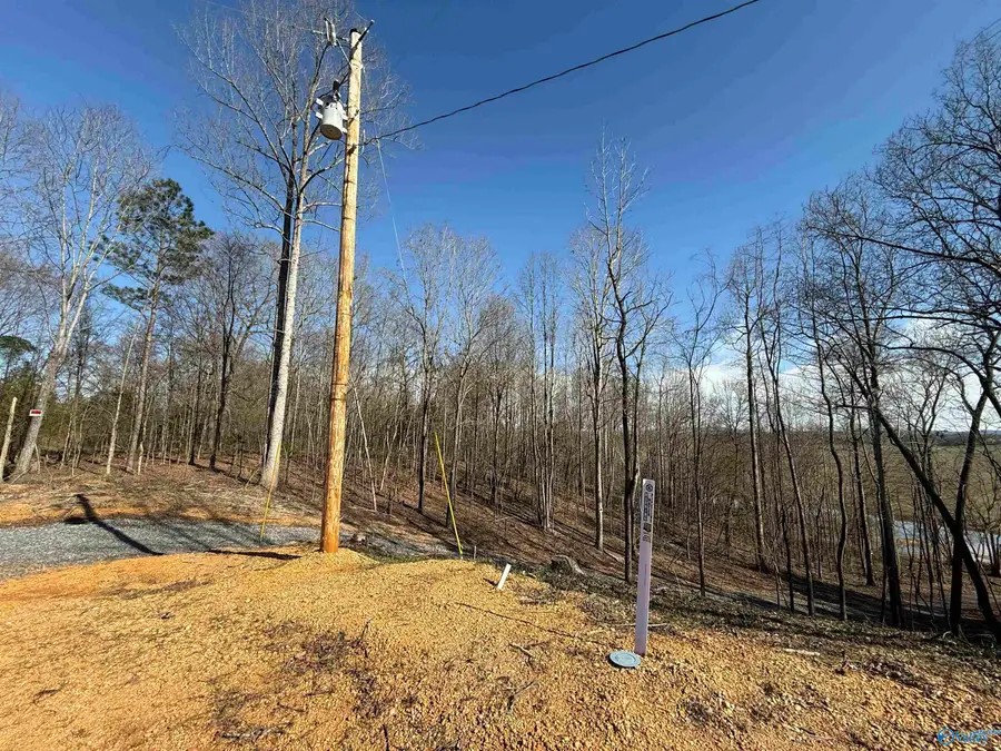 Lot 4 County Road 155, Centre, AL 35960 - Image #3