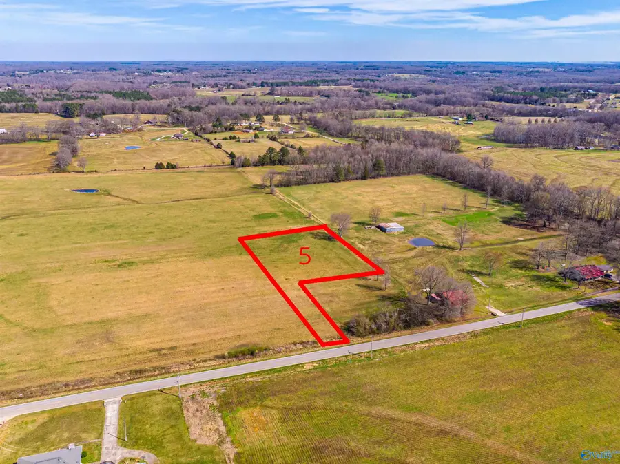 Tract 5 County Road 51, Rogersville, AL 35652 - Image #2