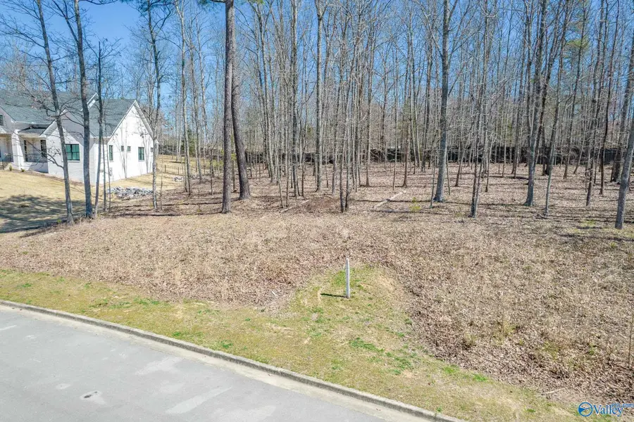 9 Winter Walk Way Se, Huntsville, AL 35803 - Image #2