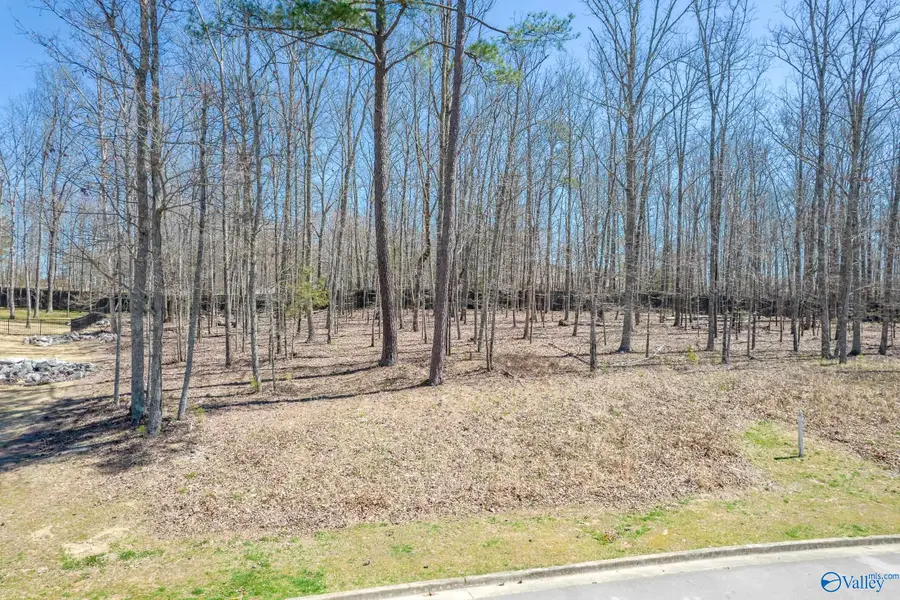 9 Winter Walk Way Se, Huntsville, AL 35803 - Image #3