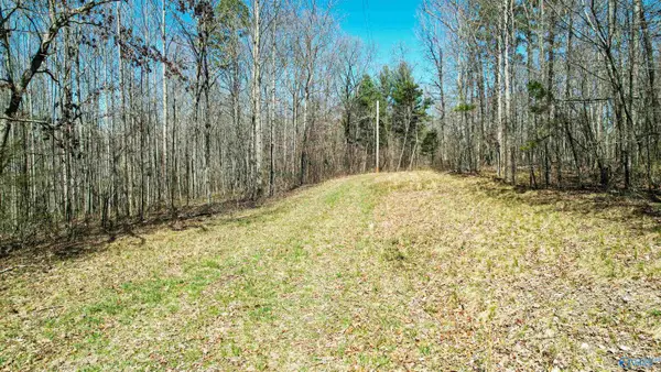 40 acres County Road 492, Henagar, AL 35978