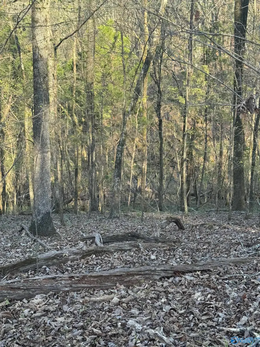 13 Sibert Drive, Glencoe, AL 35905 - Image #2