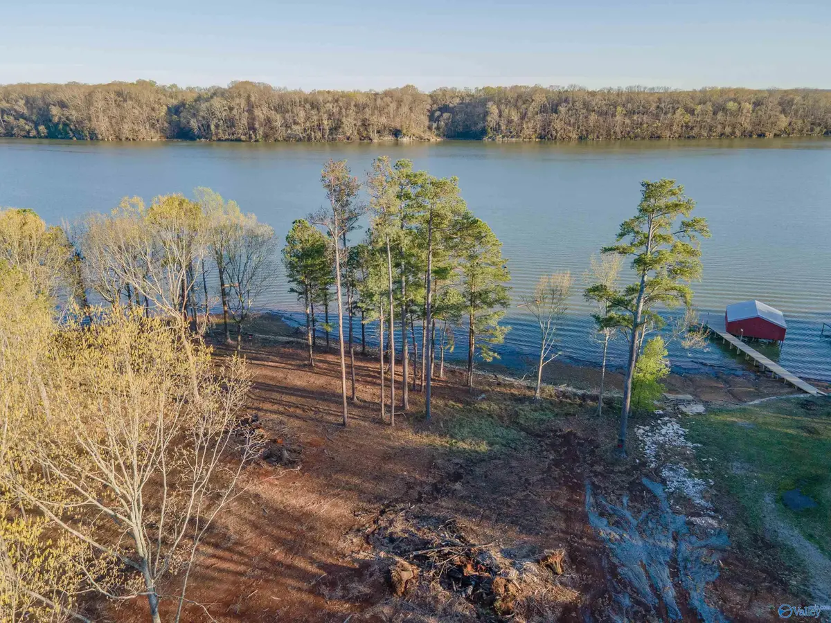 Lot 17 Barnett Road, Rogersville, AL 35652 - Image #1
