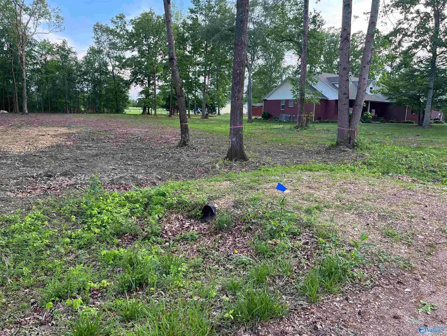 28402 Jessica Drive, Toney, AL 35773 - Image #2