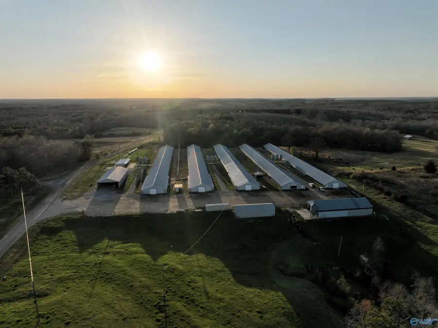 2210 County Highway 38, Russellville, AL 35654 - Image #2
