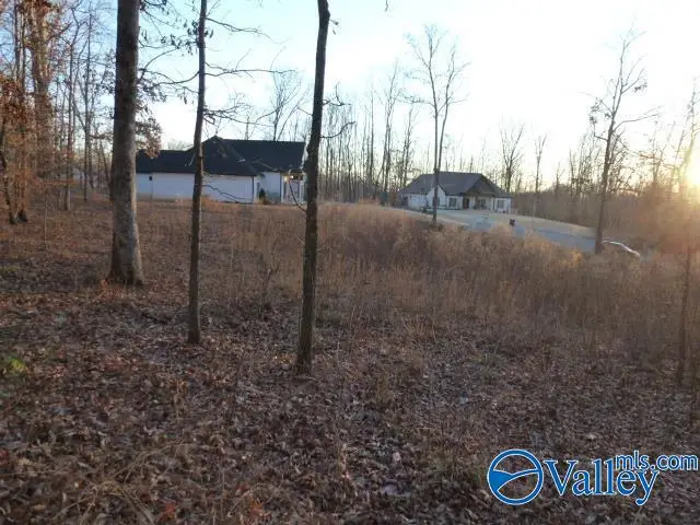 .50 Stone Run, Killen, AL 35645 - Image #1