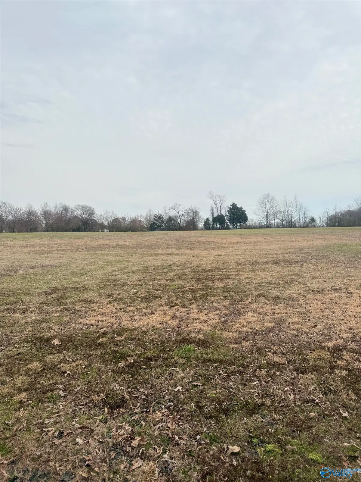 1.6 Acres Malone Estates, Athens, AL 35613 - Image #1