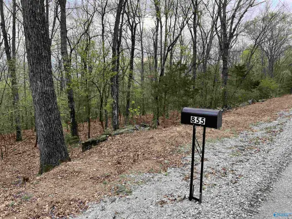 855 Lewis Mountain Road, New Market, AL 35761