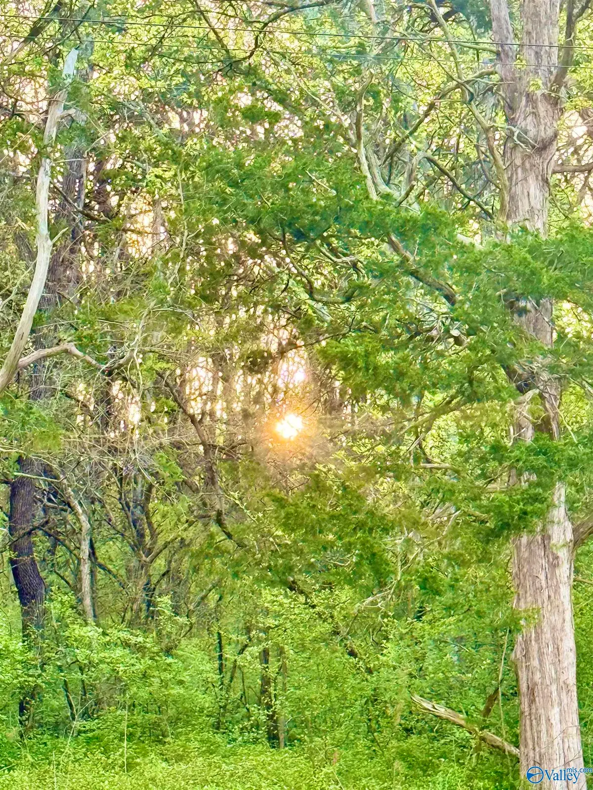 4.94 Acres Lyons Road, Decatur, AL 35603 - Image #1