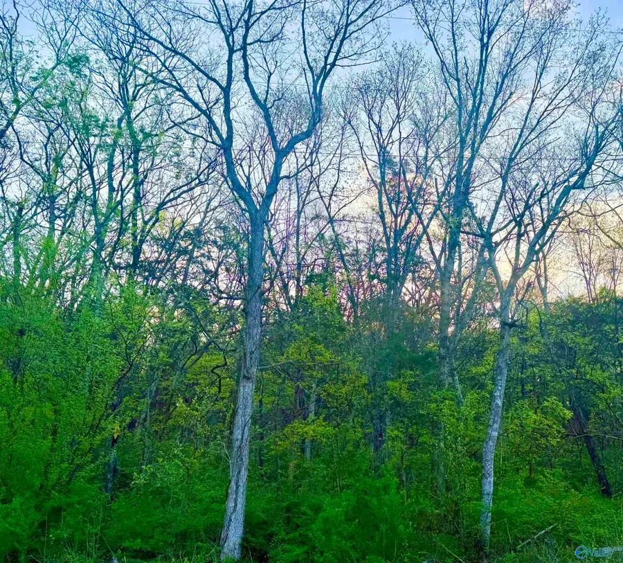 4.94 Acres Lyons Road, Decatur, AL 35603 - Image #3