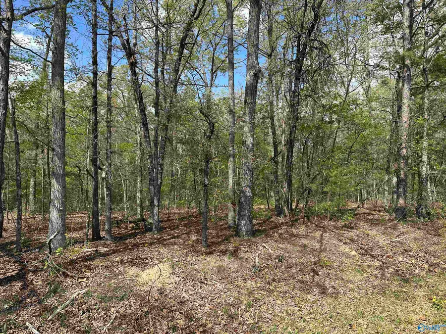 500 Northwood Drive, Centre, AL 35960 - Image #2