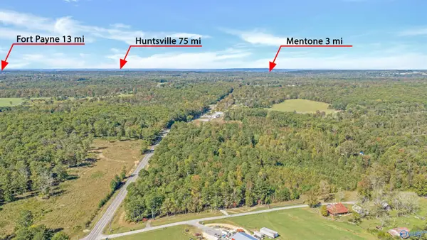 5.42 Acres Alabama Highway 117, Mentone, AL 35984