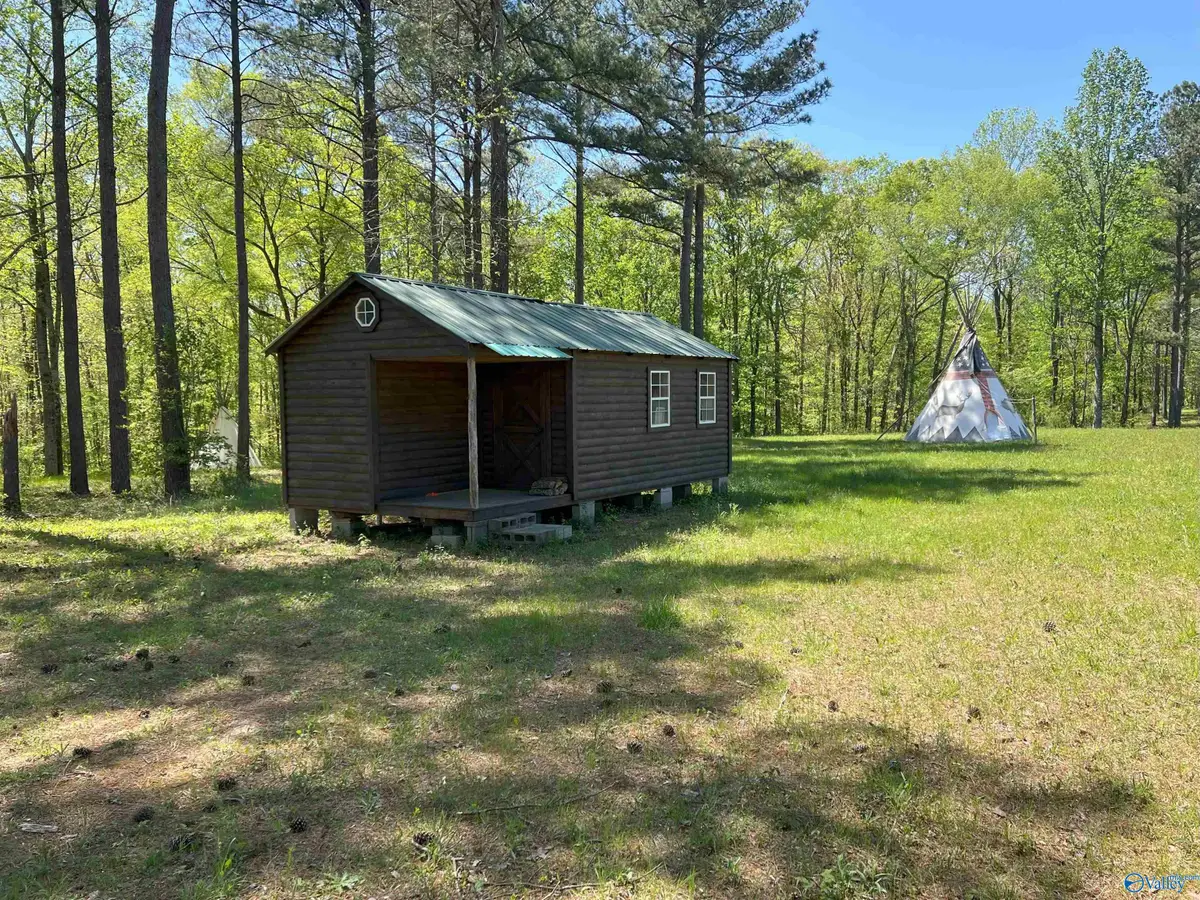 4319 County Road 76, Danville, AL 35619 - Image #1