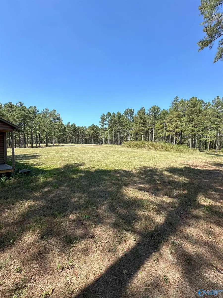 4319 County Road 76, Danville, AL 35619 - Image #2