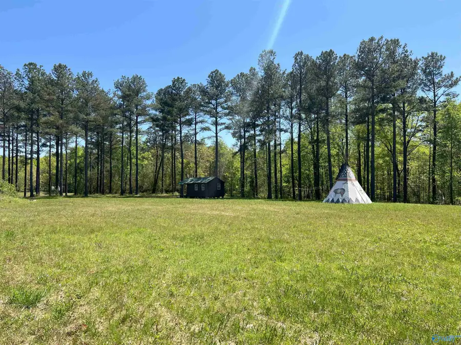 4319 County Road 76, Danville, AL 35619 - Image #3