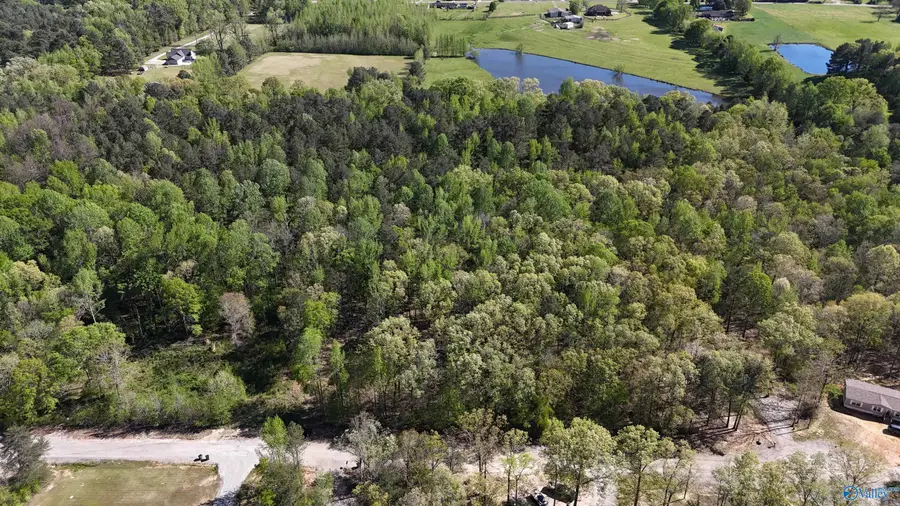 LOT 28 County Road 279, Moulton, AL 35650 - Image #3
