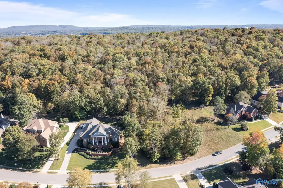 255 Wedgewood Terrace Road, Madison, AL 35757 - Image #2