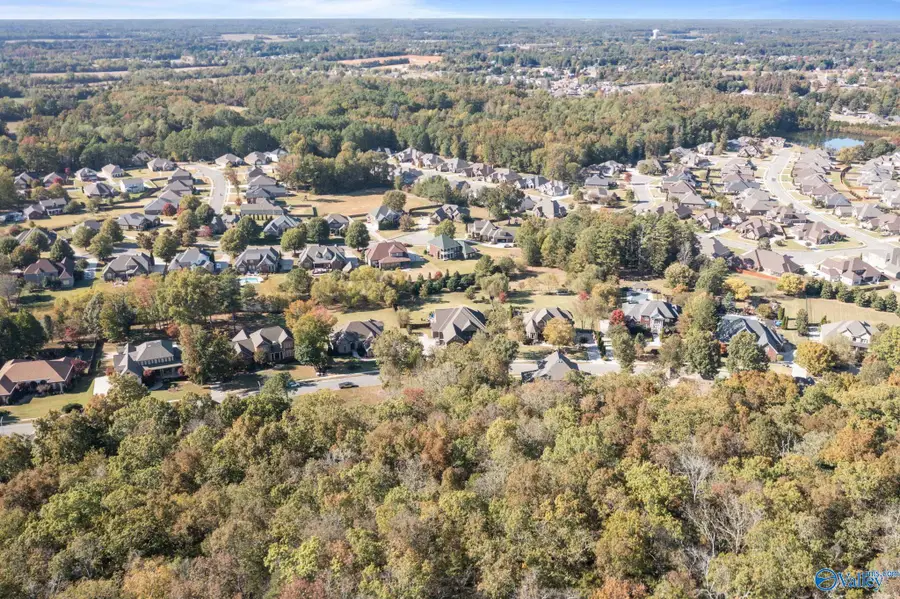 255 Wedgewood Terrace Road, Madison, AL 35757 - Image #3