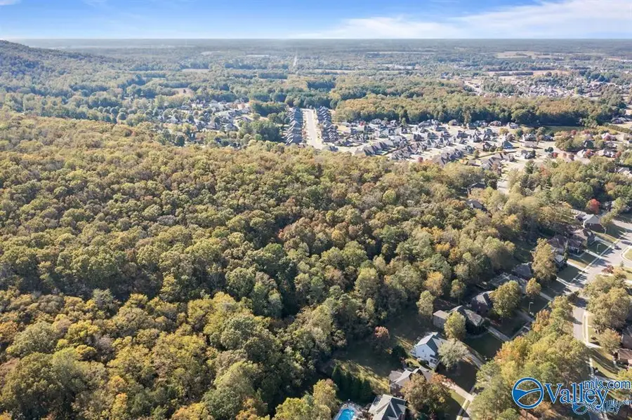 11.33 Acres Jeff View Court, Harvest, AL 35749 - Image #3