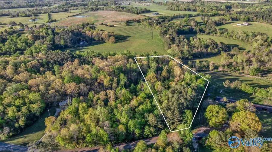 5 ACRES County Road 49, Section, AL 35771 - Image #2