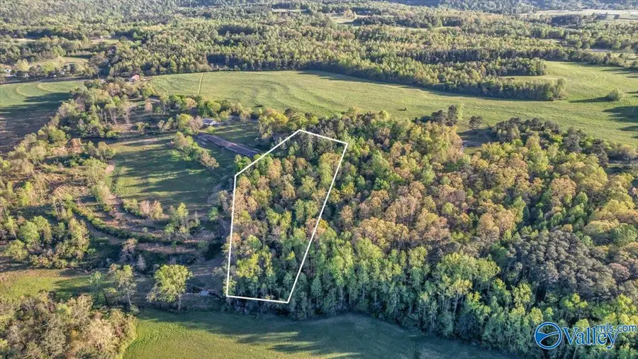 5 ACRES County Road 49, Section, AL 35771 - Image #3