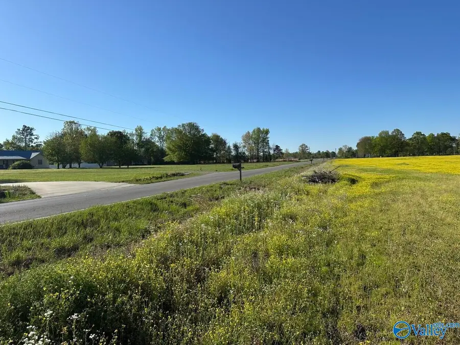 77 +/- ACRES Parker Road, Athens, AL 35611 - Image #2