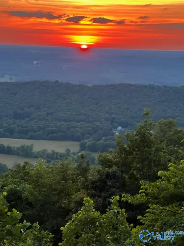 lot 22 County Road 89, Mentone, AL 35984