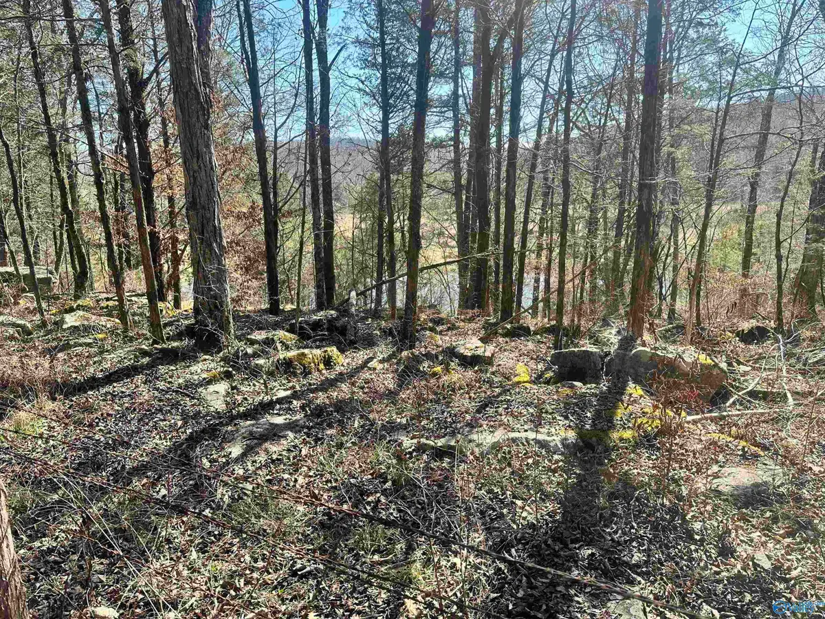 21 Acres Cathedral Caverns Hwy, Woodville, AL 35776 - Image #1