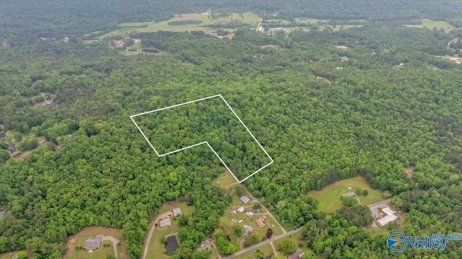 14.87 Fowlers Ferry Road S, Southside, AL 35907 - Image #2