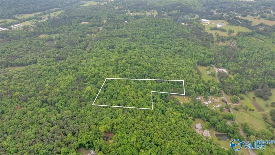 14.87 Fowlers Ferry Road S, Southside, AL 35907 - Image #3