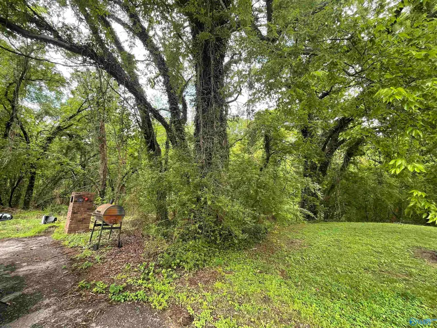 Lot 8 Adams Street, Cherokee, AL 35616 - Image #3