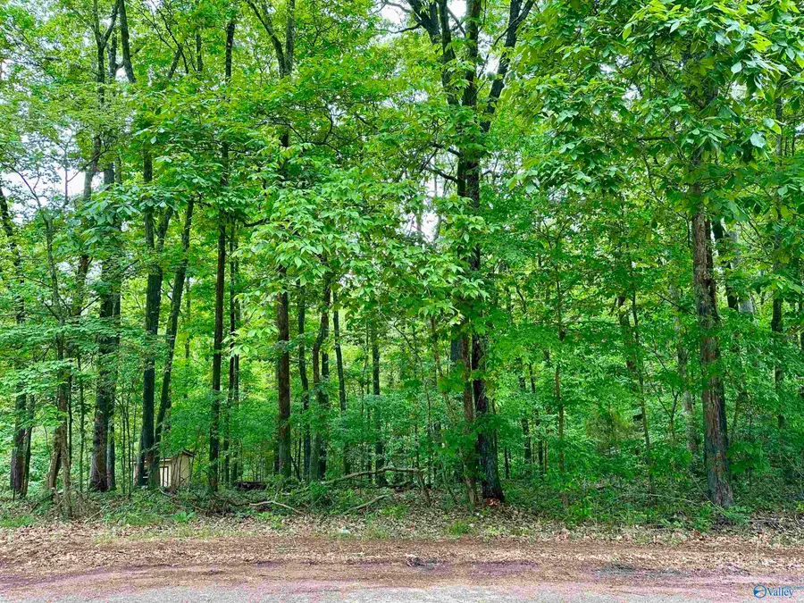 24415 Hickory Drive, Elkmont, AL 35620 - Image #2